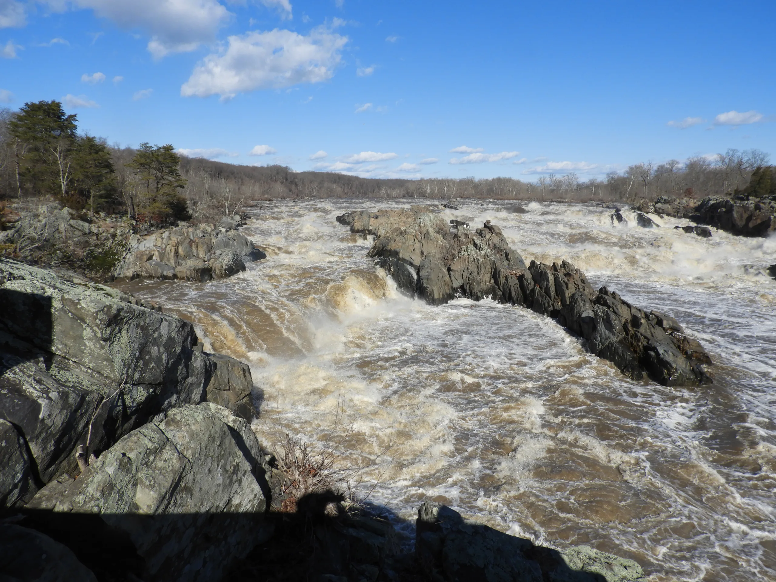 The Potomac Company and the Great Falls Canal